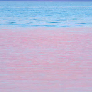 Meet your Posher, Eva